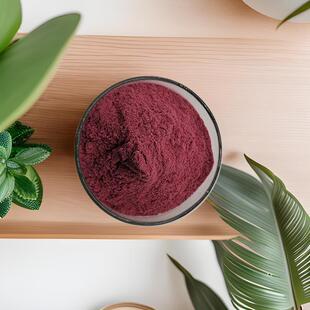 碧萝芷 海岸松提取物 花青素粉