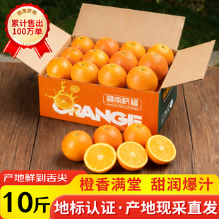 2025现摘江西正宗赣南脐橙当季 新鲜甜橙子水果产地直发脐橙多汁