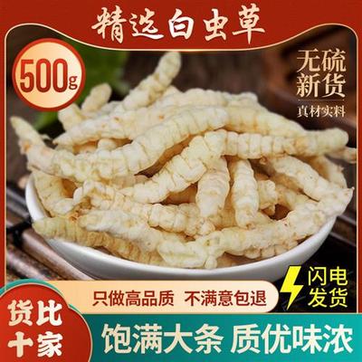 白虫草中药材250g克草石蚕地蚕土冬虫草泽兰根地参云南野生虫草参