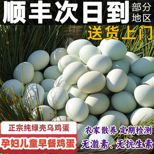 乌鸡蛋正宗农家散养绿皮柴山鸡蛋30枚整箱草笨绿壳土鸡蛋新鲜
