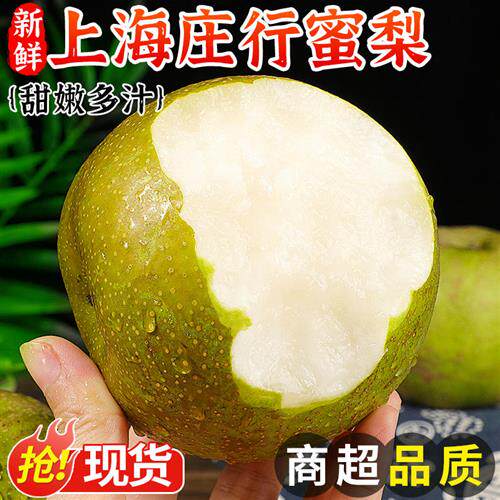 上海庄行蜜梨新鲜梨子当季现摘水果整箱黄花水晶梨香雪梨青梨包邮