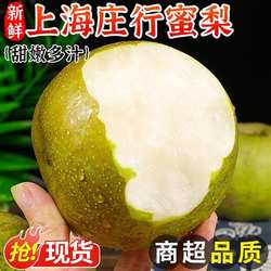 上海庄行蜜梨新鲜梨子当季现摘水果整箱黄花水晶梨香雪梨青梨包邮