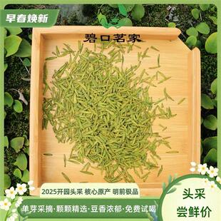 2025新茶甘肃陇南明前特级龙井茶叶文县碧口高山绿茶雀舌10年老店