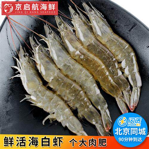 500g北京闪送海白虾鲜活海鲜明虾白大对虾堪比基围虾青岛超大青虾