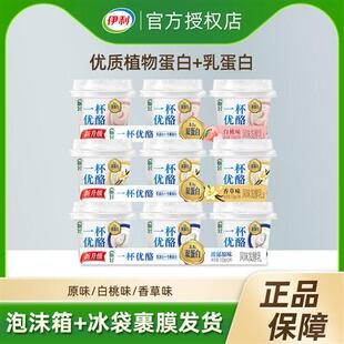 伊利畅轻酸奶一杯优酪原味玫瑰荔枝白桃风味发酵乳双蛋白低温杯装