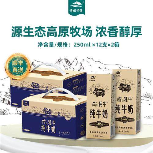 顺丰青藏祁莲祁连山牦牛纯牛奶学生老人250ml*24支