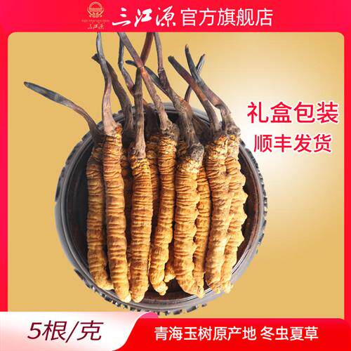 三江源冬虫夏草青海玉树野生虫草5根/g青海虫草新草高海拔虫草