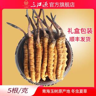 三江源冬虫夏草青海玉树野生虫草5根/g青海虫草新草高海拔虫草