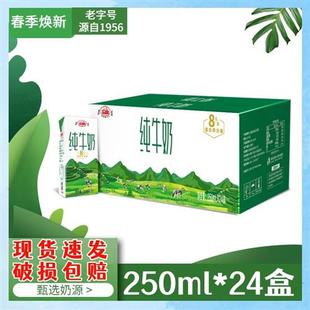 新日期遵义纯牛奶250ml*24盒整箱早晚餐全脂牛奶学生营养