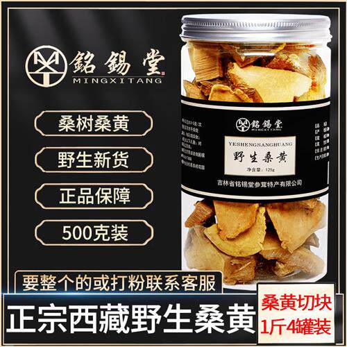 西藏桑黄500g桑树桑黄正品林芝波密桑黄非长白山野生灵芝树黄茶