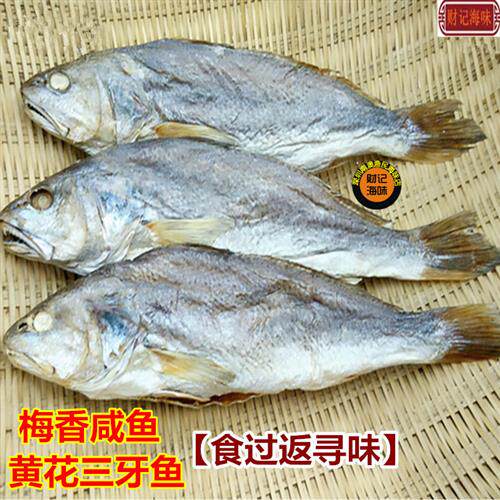 广东三牙梅香黄花咸鱼霉香咸鱼干淡口霉香划鱼香划鱼香茄子煲500g