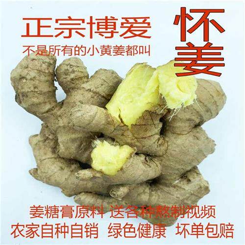 焦作博爱怀姜3/5斤新鲜姜生姜老姜土母姜小黄姜 姜糖膏原料月子姜