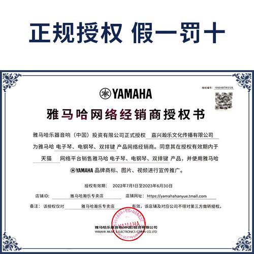 电子鼓DD75电子架子鼓打击板成年专业电子乐器儿童入门电鼓
