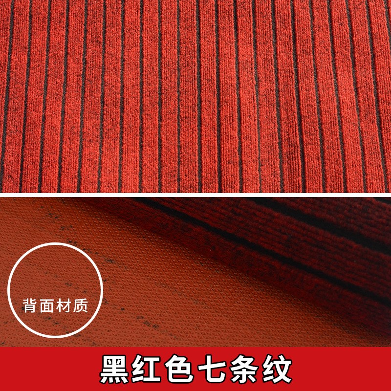 进门地垫TPE垫门垫入户门吸水防滑地毯家用室内除尘垫子厨房门口