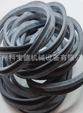 V-RING V-170A FORSHEDA 密封圈TWVA01700-N6T50密封件 VA VS VL