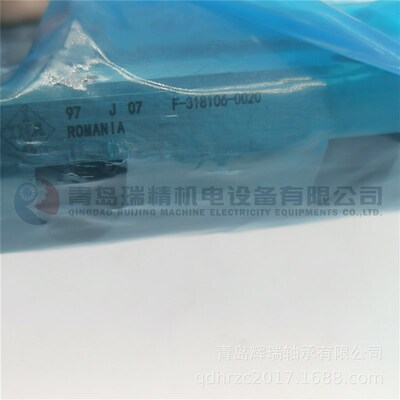 进口 I-N-A 滑块 F-318106.03 直线导轨轴承单元 F-318106-0020