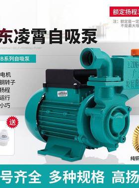 广吸东霄水泵1ZDB35/45/65型自凌清水牌泵家用自无品牌/来水抽水