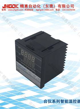 精FY900-103000台仪智汇温控器烤炉烤箱无品牌/字数计温能表工厂J