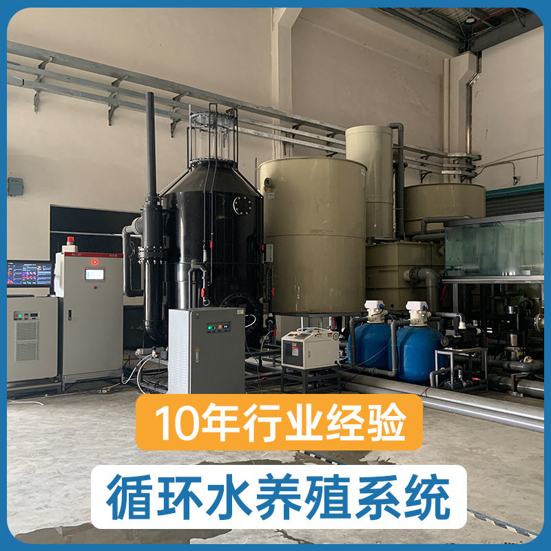 厂家直供鱼虾苗大型循环水系统