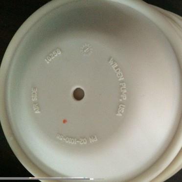 1ETV配.5寸WI5L威DEN尔顿气动隔膜泵件，04-1010-58/51/5膜片隔膜