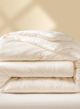 ESMA类双层大豆纤维纱被子被芯冬被加厚季保暖被单人棉春秋被四通