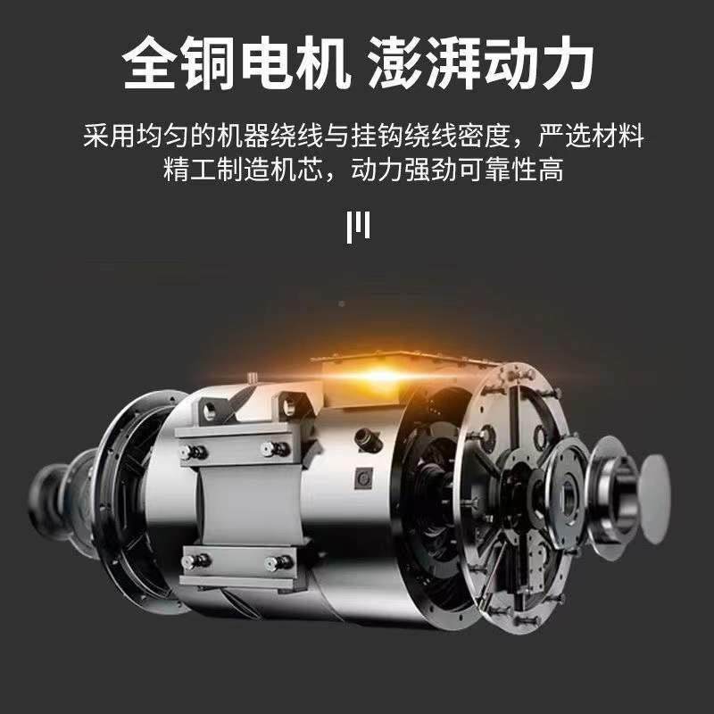 电坦LSN克锤电镐大功率冲击钻混凝土多功能两工用业手持式电动工