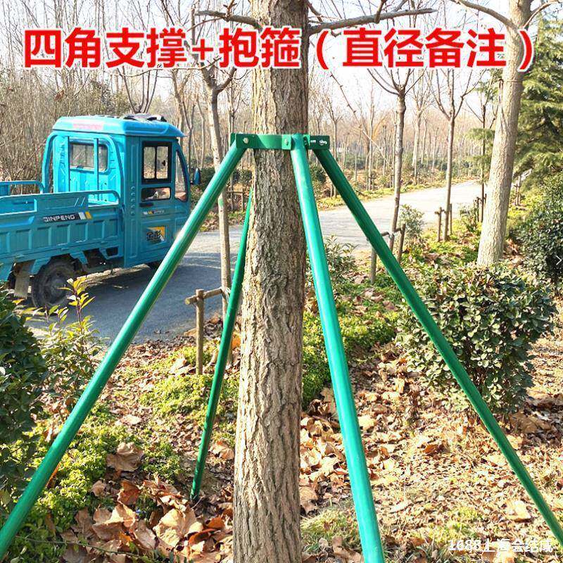 树器木243支撑固定抱防箍风绿化镀锌钢管支撑架苗杆木支架乔木固