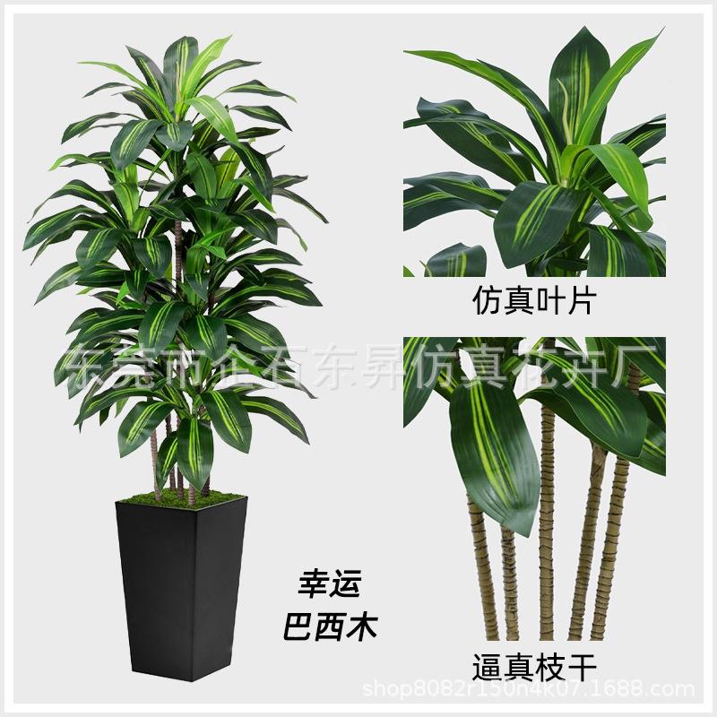 亚盆西马逊白色高假树仿销真丝兰落地盆栽人造树DS202143工厂直仿