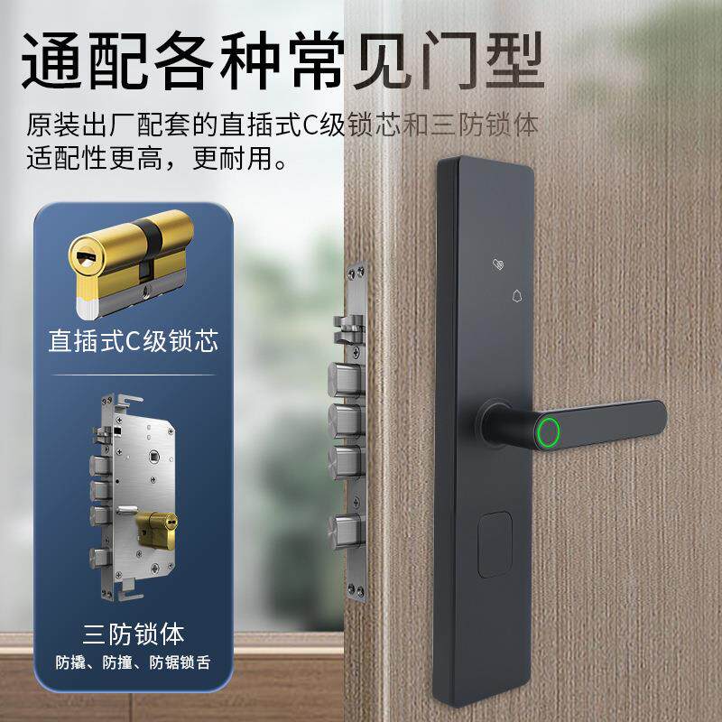 乐泓指纹智锁家用能防水10006943室工厂办公室脸民宿入户内门人密