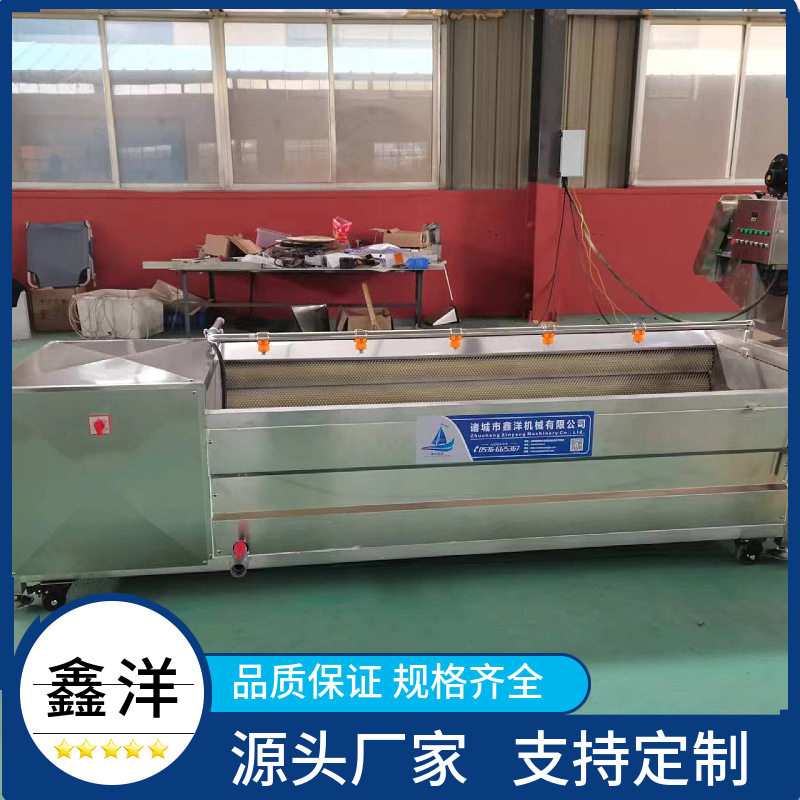 毛辊清洗机 甘蔗去泥沙去灰尘清洗设备 硬毛刷百香果去皮机