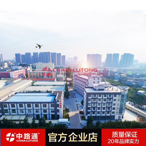 7185-547L 燃油喷射泵泵头