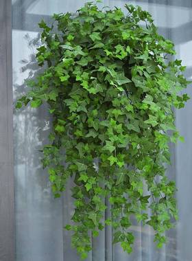 天台悦先仿爬山虎墙壁挂饰植物假花藤装ltao5420条蔓绿植塑料吊真