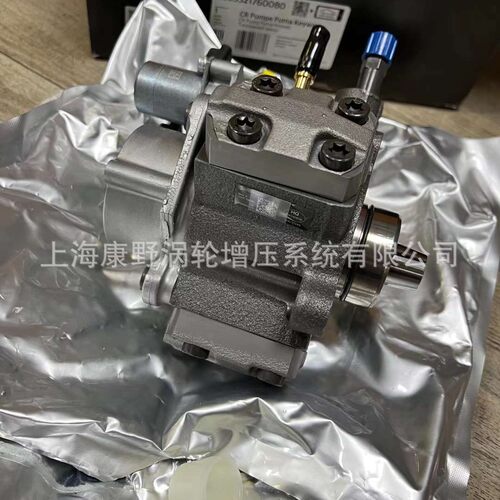 油泵A2C93217600 ?5WS40698 ?FB3Q-9B395 5WS40699 A2C96176300
