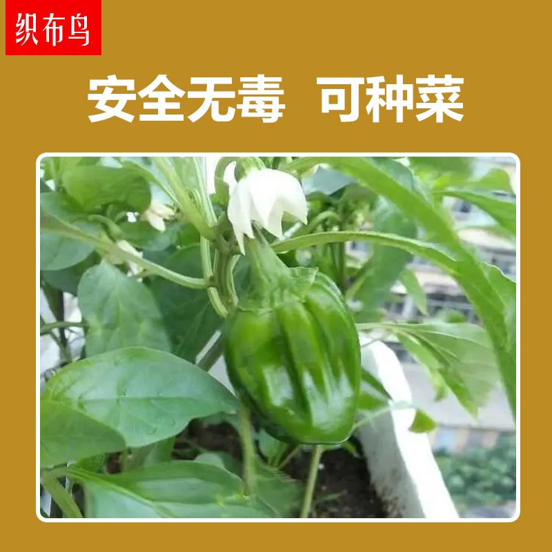 泡沫箱保温生箱快递专水果鲜草运LOP莓用枇杷车厘子保鲜冷链输