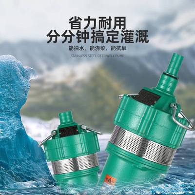 QD多级潜水泵家用220V高扬程抽水机农用灌溉水泵小老鼠工程降水泵