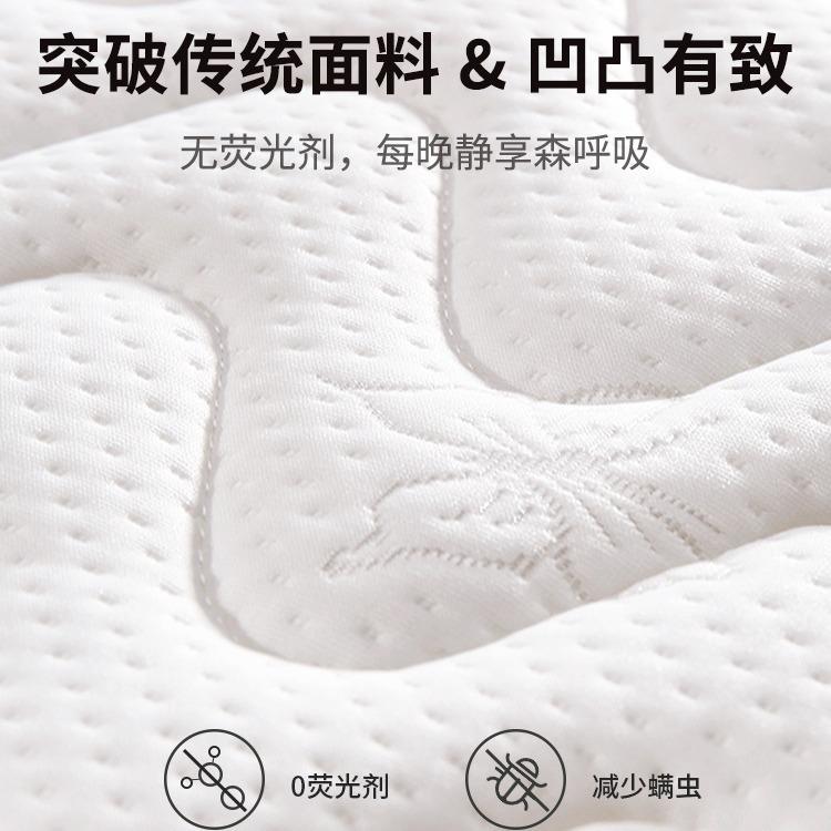 榻榻米床塌垫可子折叠塌米儿童踏踏米垫棕床垫无品牌/尺寸椰珑放