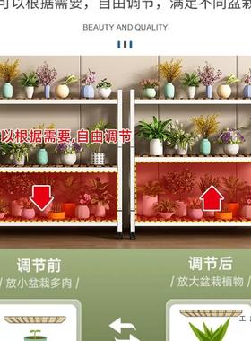 花置物架阳花架子客厅台地式铁艺实木质多层70067植物多落肉花架