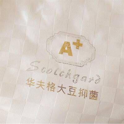 A类大豆纤维被子冬宿舍单人学生棉KGM被芯新2厚025款春秋被被加保