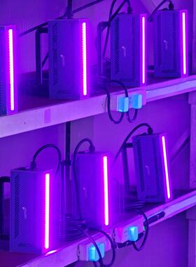 紫外线化设便携式U胶VLE固D固化机紫外线RCR固化灯uv油墨搭备配助