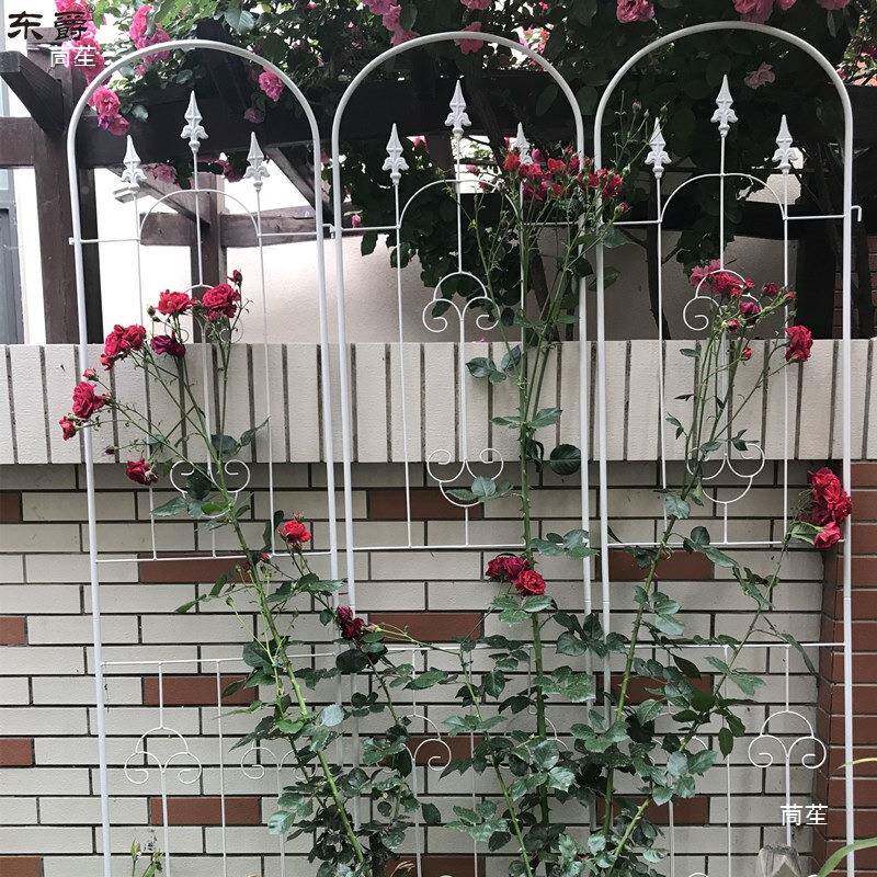 爬藤架QSK格花爬架花墙户外铁艺月季铁线牵莲植网物攀架子爬墙引