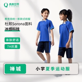 统一男女学生套装 短裤 运动服 短袖 青青世界佛山禅城校服小学夏季