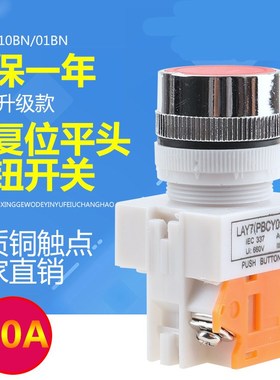 LAY37-01BNZS/10BNZS 绿色一常开红色一常闭平头自锁按钮开关Y090