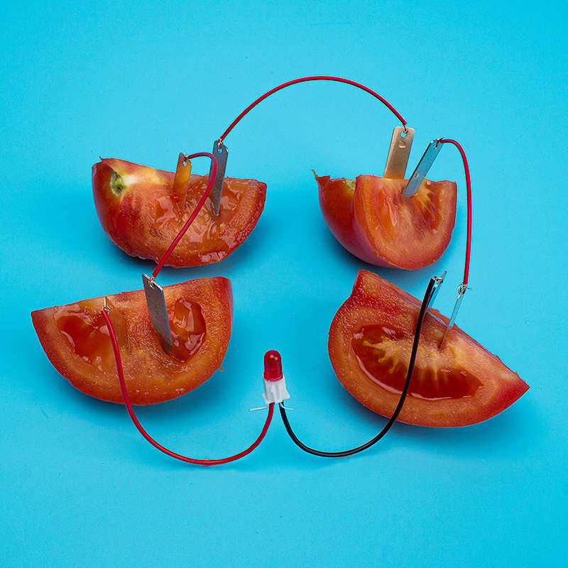 自制水果电池发电实验锌片铜片电极材料科技小制作发明幼儿园小学,农用物资,苗木固定器/支撑器,淘宝优惠券,粉丝福利购,淘宝优惠卷