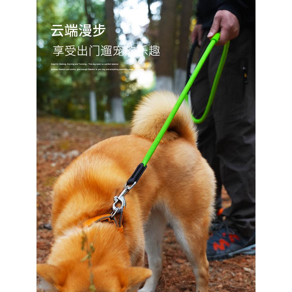 博戈狗皮带防爆狗皮带宠物项圈小型,中型和大型狗训练狗皮带狗皮