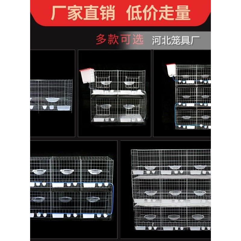 新品加粗2位4位6位鸽子笼养殖笼信鸽配对笼鸽子巢箱阳台鸽笼