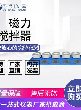 ZNCL-DLS-6联100ml250ml500ml1000ml数显磁力搅拌电热套
