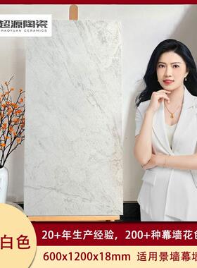 山壁画陶水pc仿瓷石砖壁画白色灰色幕墙外墙英山水壁画砖6石00*12