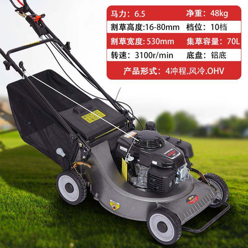 汽油草坪机GXV机160动草力自走216割草机除四冲程剪修剪163手推草