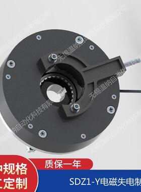 电磁失电制动器SDZ1-300DSZ1摩-450YTTS电机刹车抱Y闸配整流器擦