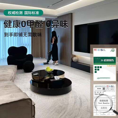 轻奢220茶5新款家用客厅卧床室沙发几边地PWI毯防水免洗可擦洗地